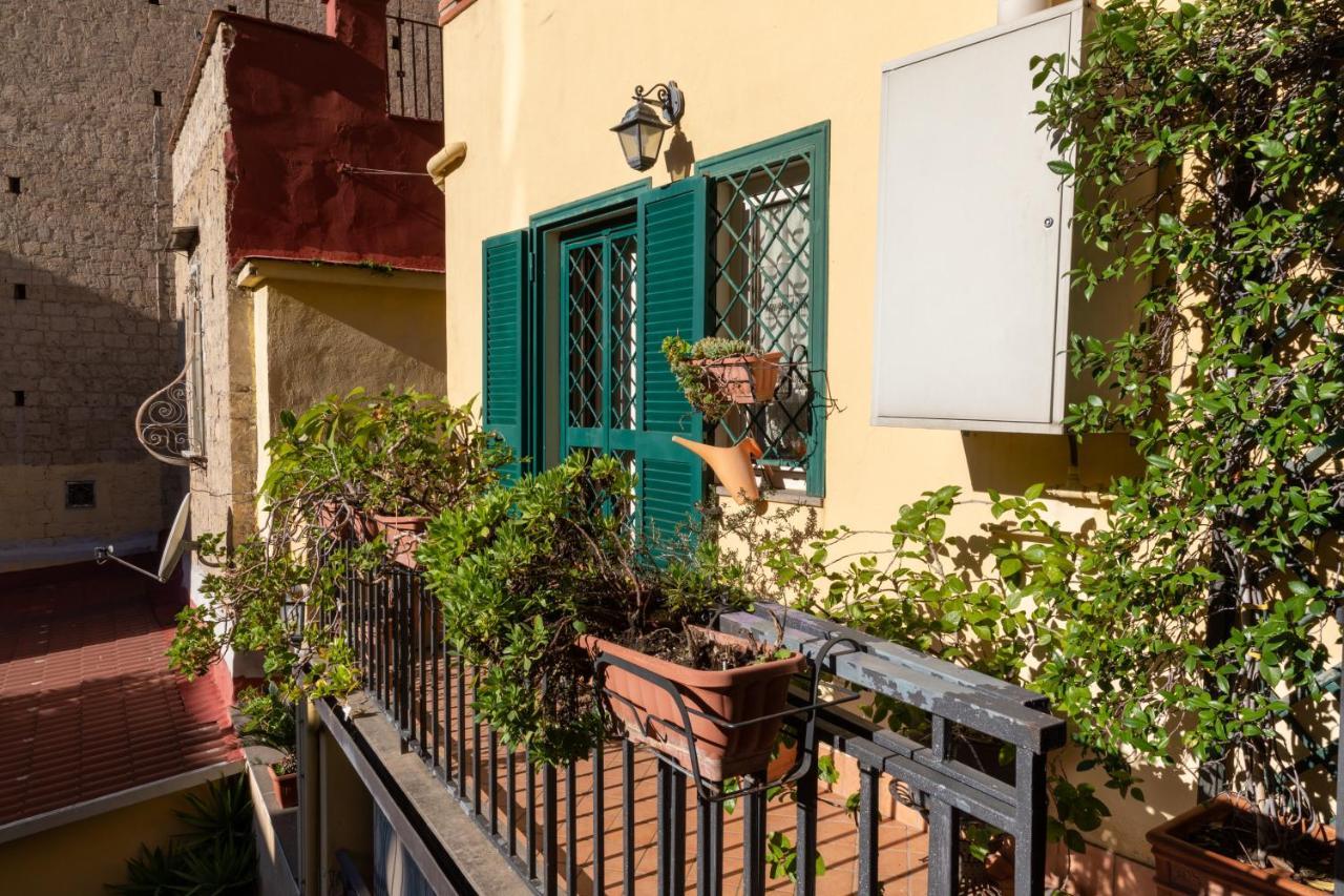 Appartamento Colored House Until 7 People Above Sqplebiscito